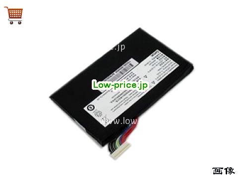 GETAC GI5CN-00-12-3S1P-0 
バッテリー 4100mAh, 46.74Wh  11.4V Black Li-Polymer