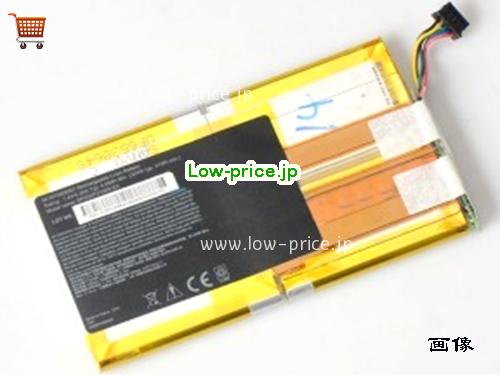 GETAC 441874200007 
バッテリー 4200mAh, 4.2Ah 7.4V Black Li-Polymer